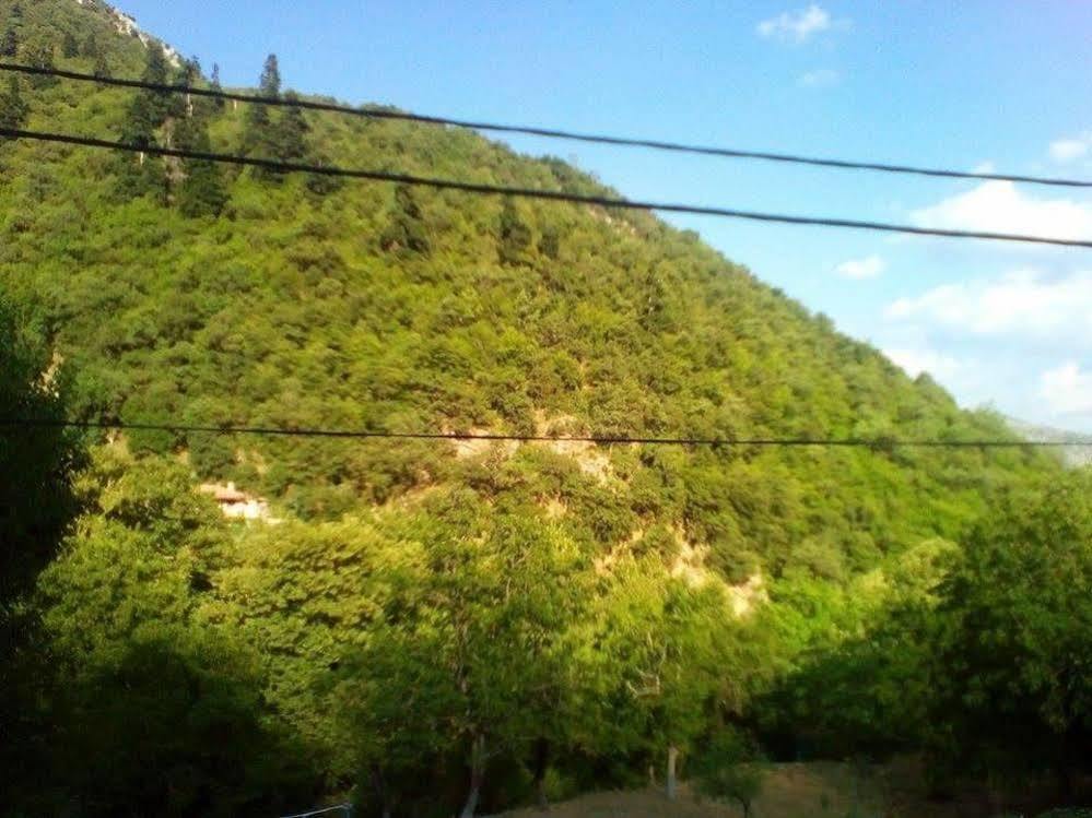To Greki Pensión 3*