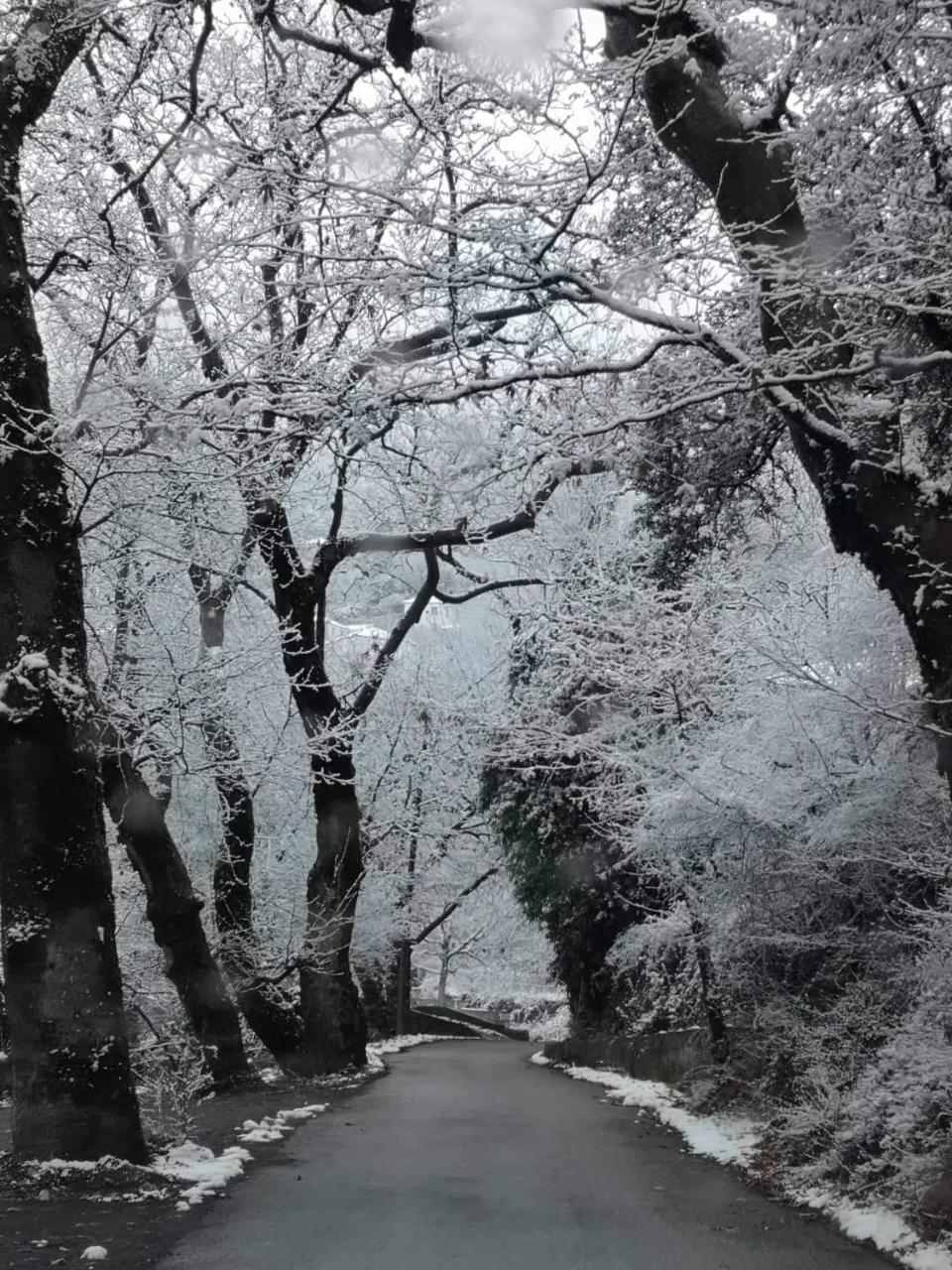 To Greki Pensión Livartzi